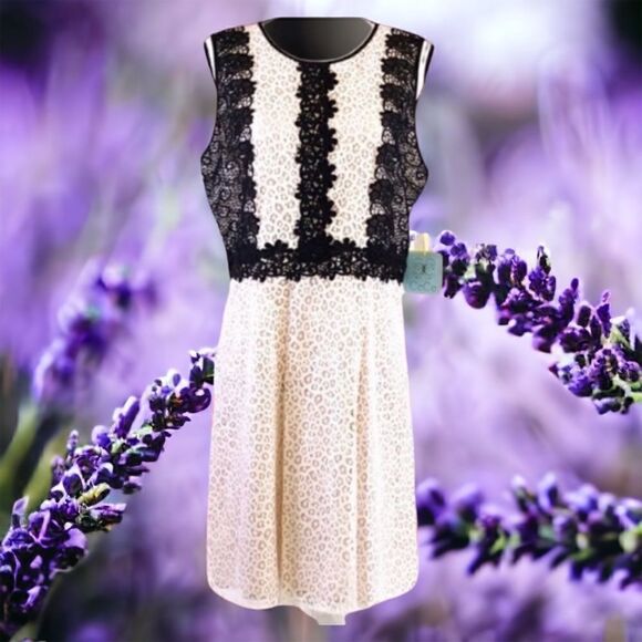 CECE Lace Overlay Dress Ivory & Black Size 10 - Picture 1 of 10